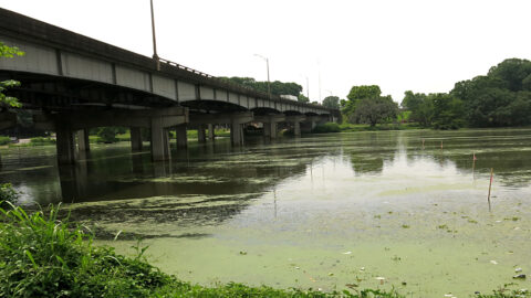 view of the north side of the I-10 bridge across City Park Lake in Baton Rouge before construction activity